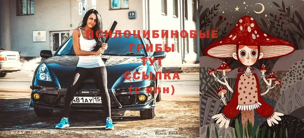 гидропоника Абинск