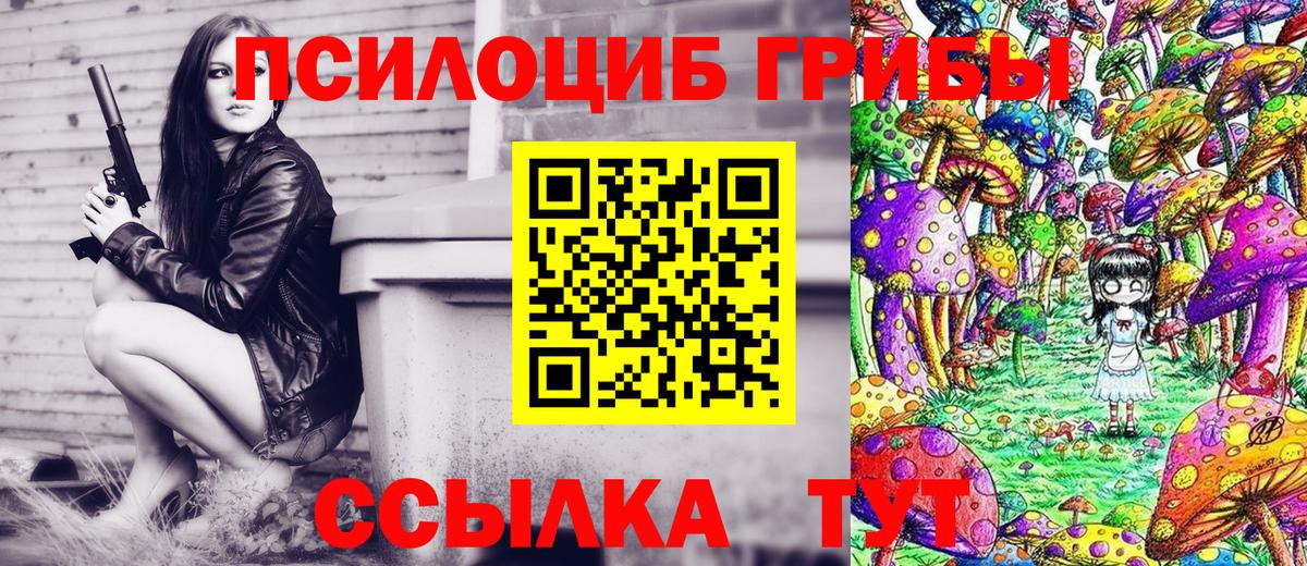 Псилоцибиновые грибы Psilocybe Алатырь